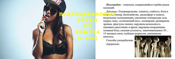 шишки Абинск