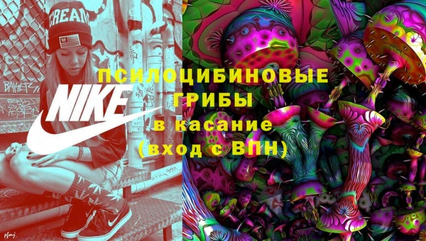 мескалин Лабытнанги
