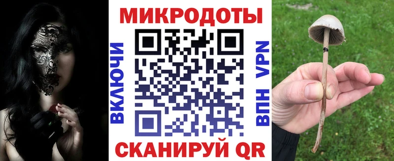 Псилоцибиновые грибы Psilocybine cubensis  даркнет сайт  Одинцово 